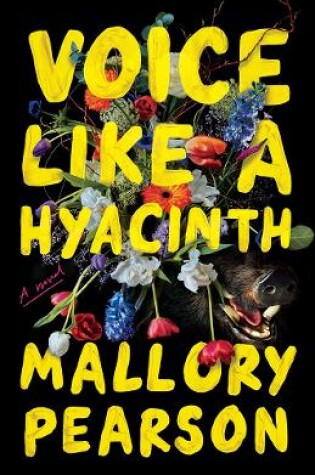 Cover of Voice Like a Hyacinth