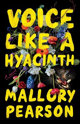 Book cover for Voice Like a Hyacinth