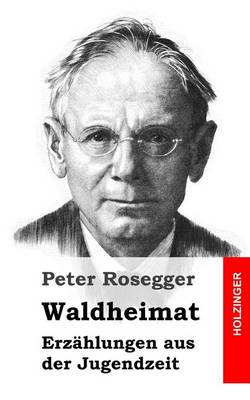 Book cover for Waldheimat