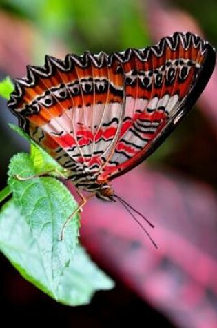 Cover of Red Lacewing Butterfly, for the Love of Nature