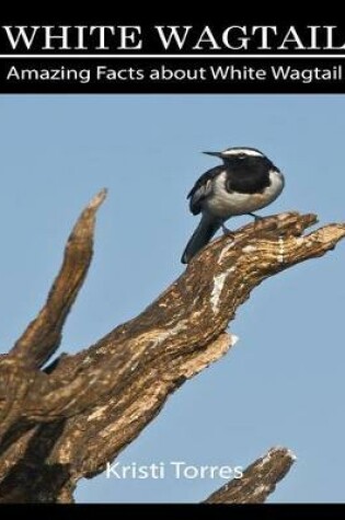 Cover of Amazing Facts about White Wagtail