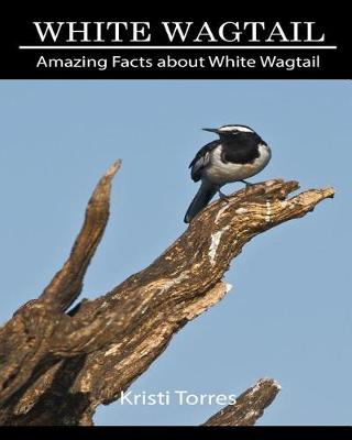 Book cover for Amazing Facts about White Wagtail