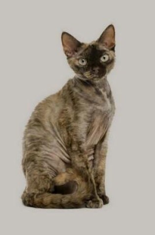 Cover of Devon Rex