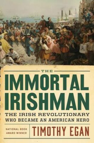 Cover of Immortal Irishman: The Irish Revolutionary Who Became an American Hero