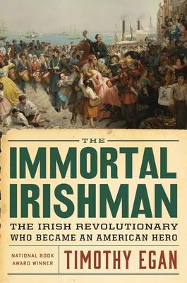 Book cover for Immortal Irishman: The Irish Revolutionary Who Became an American Hero