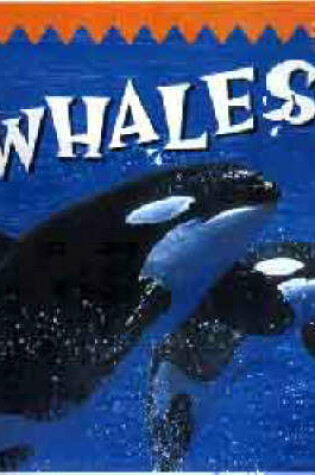 Cover of Whales