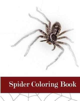 Book cover for Spider Coloring Book