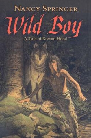 Cover of Wild Boy: A Tale of Rowan Hood