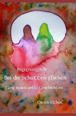 Book cover for Begegnungen IV