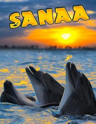 Book cover for Sanaa