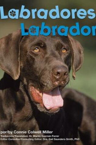 Cover of Labradores/Labradors