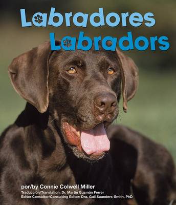 Book cover for Labradores/Labradors