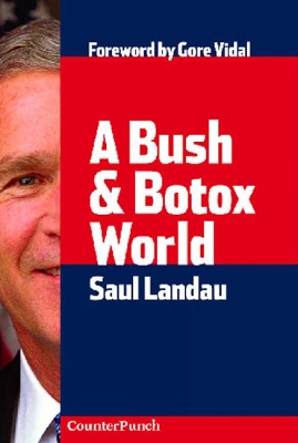 Book cover for A Bush And Botox World