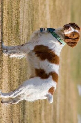 Cover of Brittany Dog Journal