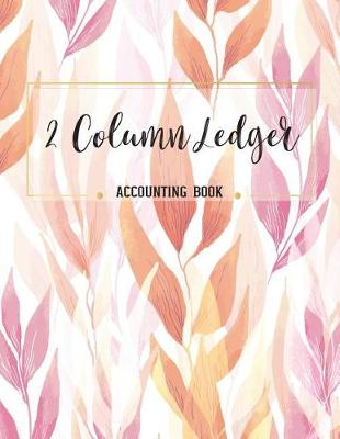 Book cover for 2 Column Ledger Accounting Book