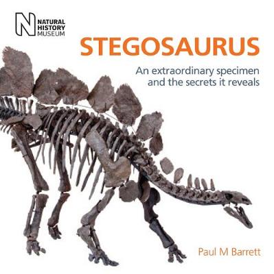 Book cover for Stegosaurus