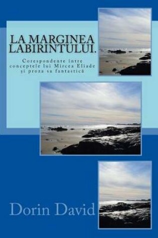 Cover of La Marginea Labirintului.