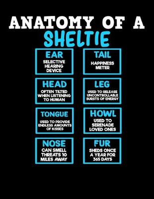 Book cover for Anatomy of a Sheltie