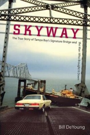 Cover of Skyway