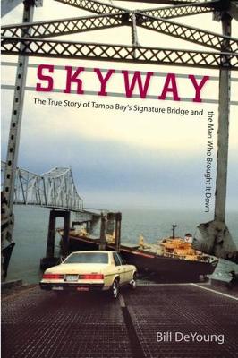 Book cover for Skyway