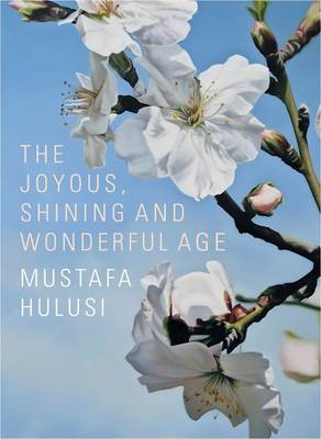 Book cover for Mustafa Hulusi