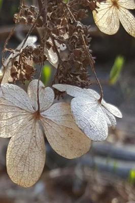 Cover of Hydrangea Flowers Journal