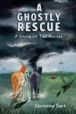 Book cover for A Ghostly Rescue