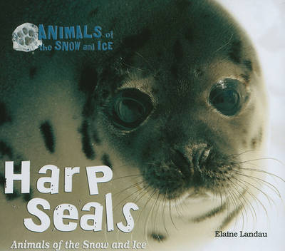 Book cover for Harp Seals