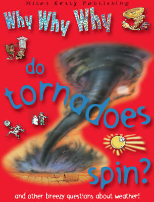 Book cover for Why Why Why do Tournadoes Spin So Fast?