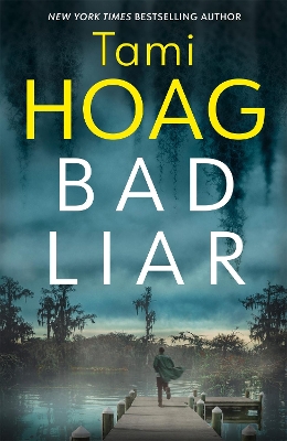 Book cover for Bad Liar