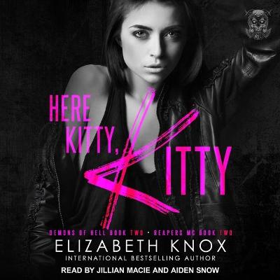 Cover of Here Kitty, Kitty