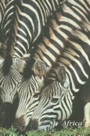Cover of Zebra Journal