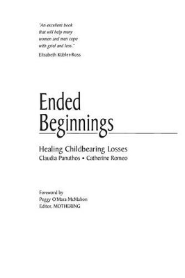 Book cover for Ended Beginnings