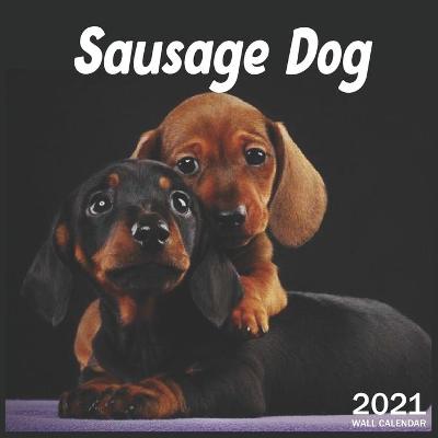 Book cover for Sausage Dog