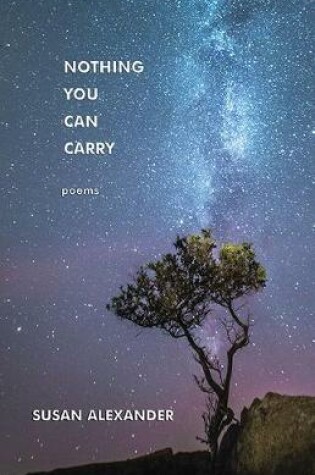 Cover of Nothing You Can Carry