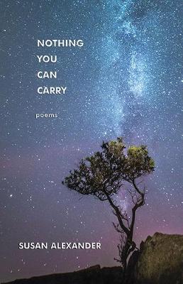 Book cover for Nothing You Can Carry