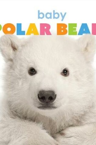 Cover of Baby Polar Bears