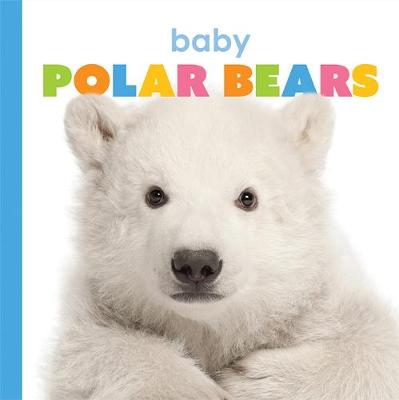 Book cover for Baby Polar Bears