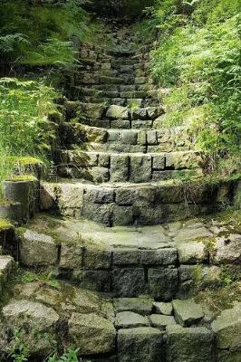 Book cover for A Magical Stone Stairway in the Forest Nature Journal