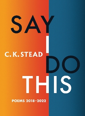 Book cover for Say I Do This