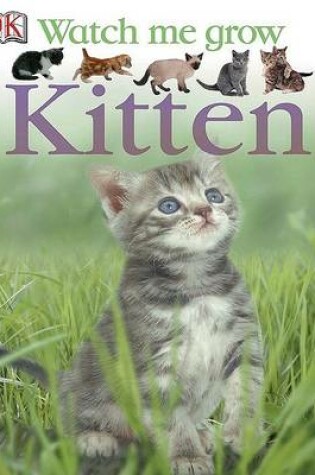 Cover of Kitten