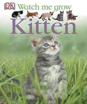 Cover of Kitten