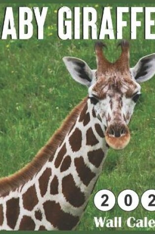 Cover of Baby Giraffe 2021 Wall Calendars