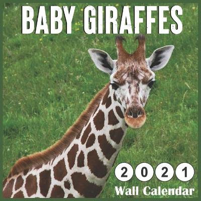 Book cover for Baby Giraffe 2021 Wall Calendars