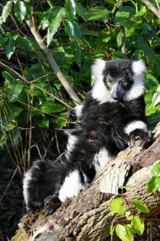 Cover of Black and White Lemur Relaxing in a Tree Journal