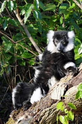 Book cover for Black and White Lemur Relaxing in a Tree Journal