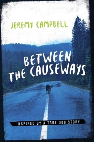 Cover of Between the Causeways