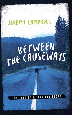 Book cover for Between the Causeways