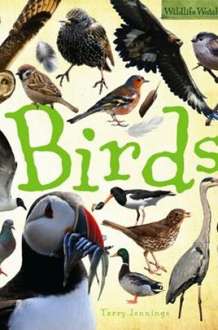 Cover of Birds