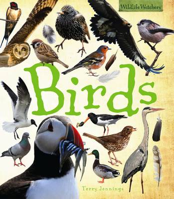 Cover of Birds